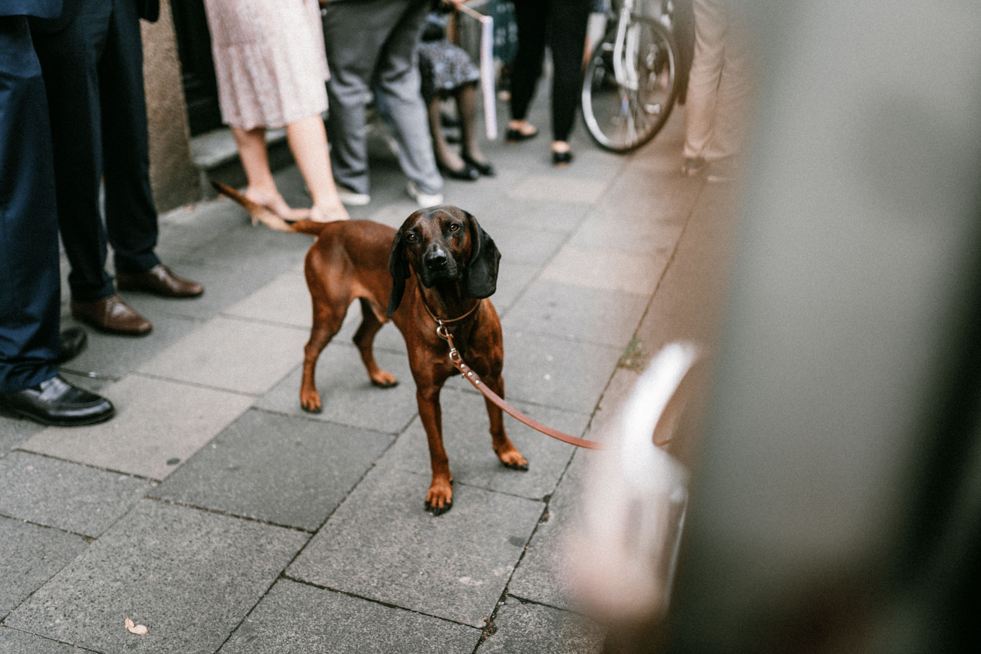 Severinstorburg_Hochzeit_Fotograf_38